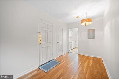 206 N Trenton St unit 4, Arlington, VA 22203 - photo 5