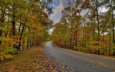 LT169 Doll Mountain Rd, Ellijay, GA 30540 - photo 3