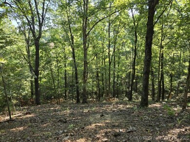 6620 N Starr Ridge Rd, Proctor, OK 74457 - photo 3