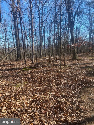 0 Parsons Rd unit WVBE2004770, Hedgesville, WV 25427 - photo 4