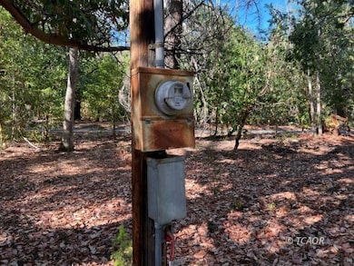 51 Oliva Dr, Hayfork, CA 96041 - photo 6