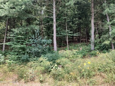 627 Knob Mountain Rd, Berwick, PA 18603 - photo 5