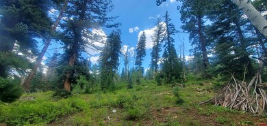 222 Engineer Dr, Durango, CO 81301 - photo 6