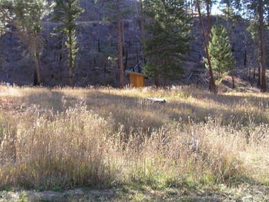 00 SE Whiskey Gulch Rd, Darby, MT 59829 - photo 5