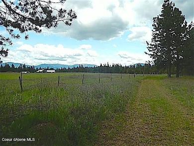 NKA Hwy 95, Athol, ID 83801 - photo 7