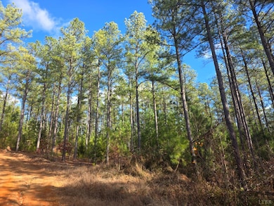 0 Norwood Rd unit 363393, Gladstone, VA 24553 - photo 4