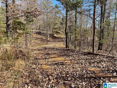 8924 Pine Mountain Rd, Pinson, AL 35126 - photo 3