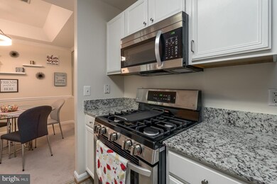 14184 Cuddy Loop unit 303, Woodbridge, VA 22193 - photo 4