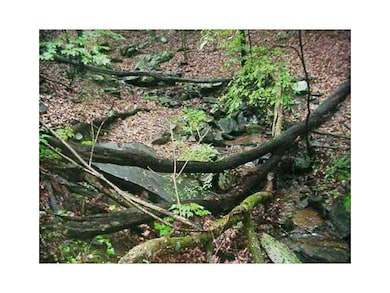 AMAZING STONE OUTCROPINGS CREATE LEDGES OF STONE T