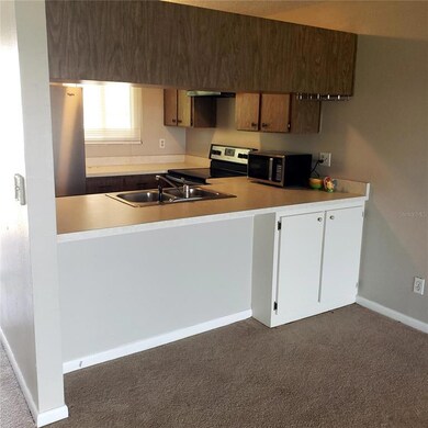 Kitchen from the Dining/Living Room