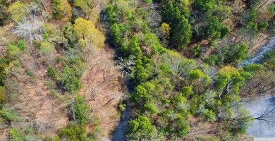 1837 Sleepy Hollow Rd, Athens, NY 12015 - photo 2