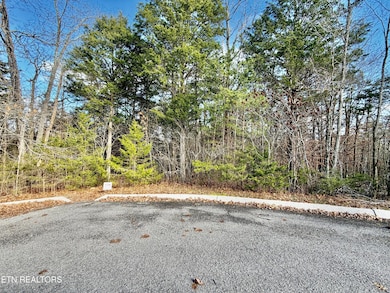 0 Divot Place unit 1323315, Tazewell, TN 37879 - photo 2