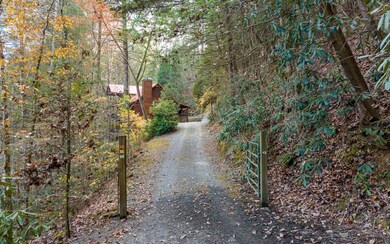 Additional View