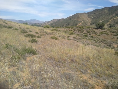 0 Sierra Hwy unit OC25269143, Agua Dulce, CA - photo 7