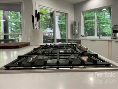 12736 Cliffcreek Dr, Huntersville, NC 28078 - photo 4