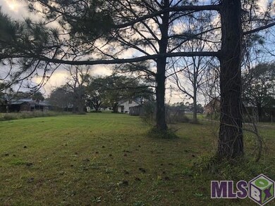 7767 La Highway 1 S, Addis, LA 70710 - photo 4