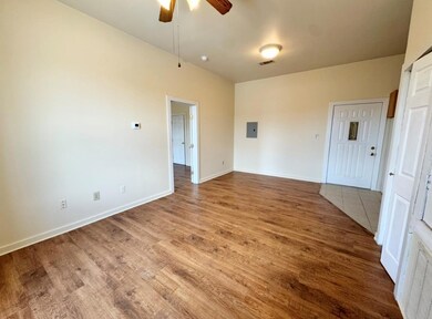 Spare room featuring electric panel, ceiling fan,