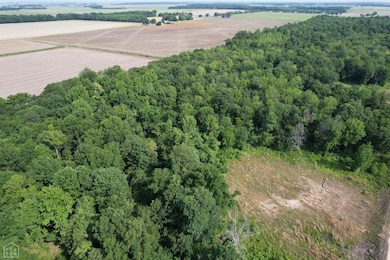 73 Highway 228, Bono, AR 72416 - photo 2