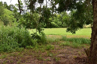 2100 Ducros St, Bay City, TX 77414 - photo 4