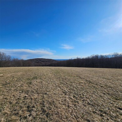 0 Stump Pond Rd, Callicoon, NY 12724 - photo 4