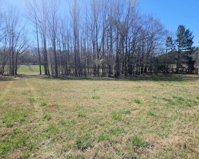 0 Knight Rd, Gray Court, SC 29645 - photo 6