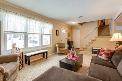 854 Idlewood Ave, Sheffield Lake, OH 44054 - photo 4