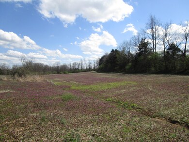 Tract-4 Cole Ln, Harrodsburg, KY 40330 - photo 7