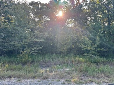 0 R And r Cir unit 109611, Kemp, TX 75143 - photo 3