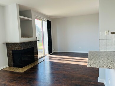 872 Creekview Ln, Lake In the Hills, IL 60156 - photo 7