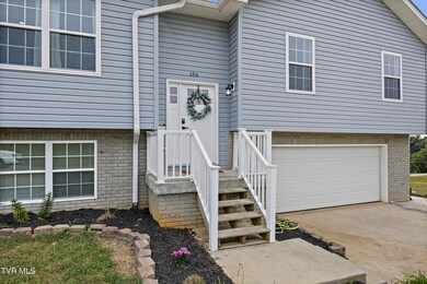 156 Milk Thistle Way, Fall Branch, TN 37656 - photo 3