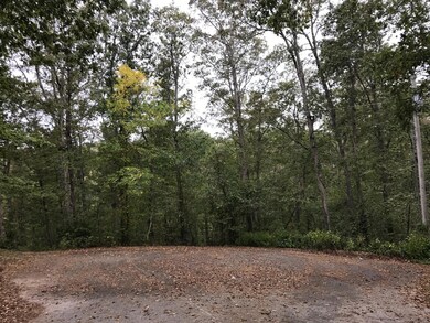 4210/4211 Serenity Ln, Nixa, MO 65714 - photo 2