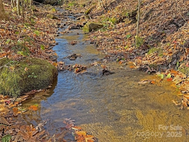 890 Panther Branch Rd, Hot Springs, NC 28743 - photo 2