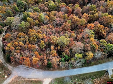 002-11055-016 Buckhead Ln, Mountain Home, AR 72653 - photo 2