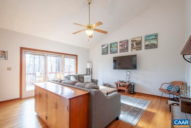 442 Foothills Dr, Nellysford, VA 22958 - photo 7