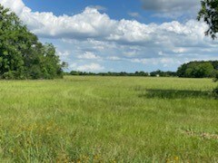 9607 Needville Fairchilds Rd, Needville, TX 77461 - photo 6