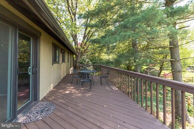 20404 Cherrystone Ct, Montgomery Village, MD 20886 - photo 6