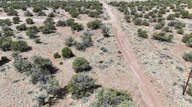 DJI_20250503102237_0032_D