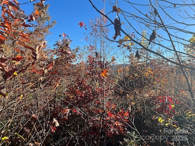 Lot 66 Musket Dr, Almond, NC 28713 - photo 3