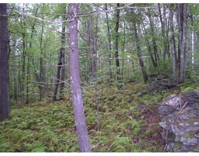 Lot 10B Sheldon Rd, Barre, MA 01005 - photo 5