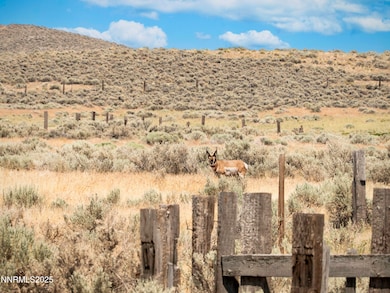 10-0149-02 Kluncy Canyon Rd, Winnemucca, NV 89445 - photo 7