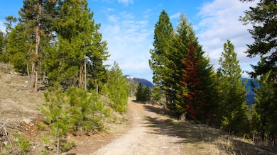 Nhn Blackjack Rd, Plains, MT 59859 - photo 6