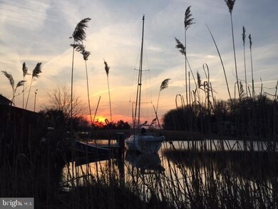 619 Harbor Dr, Annapolis, MD 21403 - photo 4