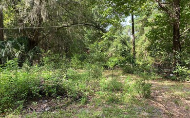 2485 Chapple Ln, Lake City, FL 32055 - photo 2