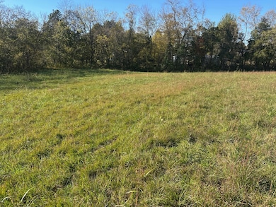 61 River Breeze Dr, Burkesville, KY 42717 - photo 2