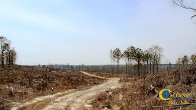 0 N Indian Trail Rd, Sandersville, GA 31082 - photo 2