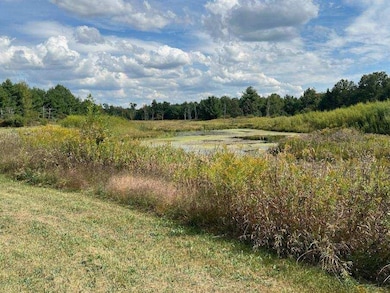 33 Acres 10th Ave, Adams, WI 53910 - photo 5