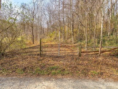 99999 Bay Horse Trail, Candler, NC 28715 - photo 3