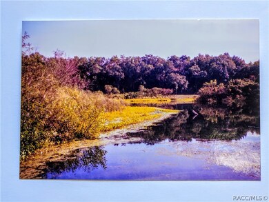 2214 E Keepsake Ln, Hernando, FL 34442 - photo 2