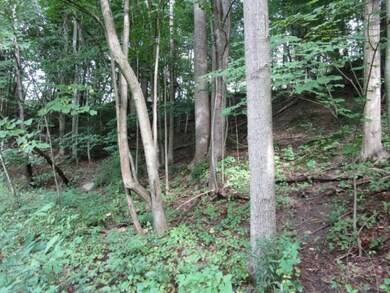 Pic 5