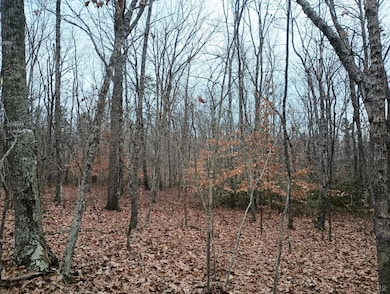 0 Axtell Rd unit 363502, Scottsville, VA 24590 - photo 6